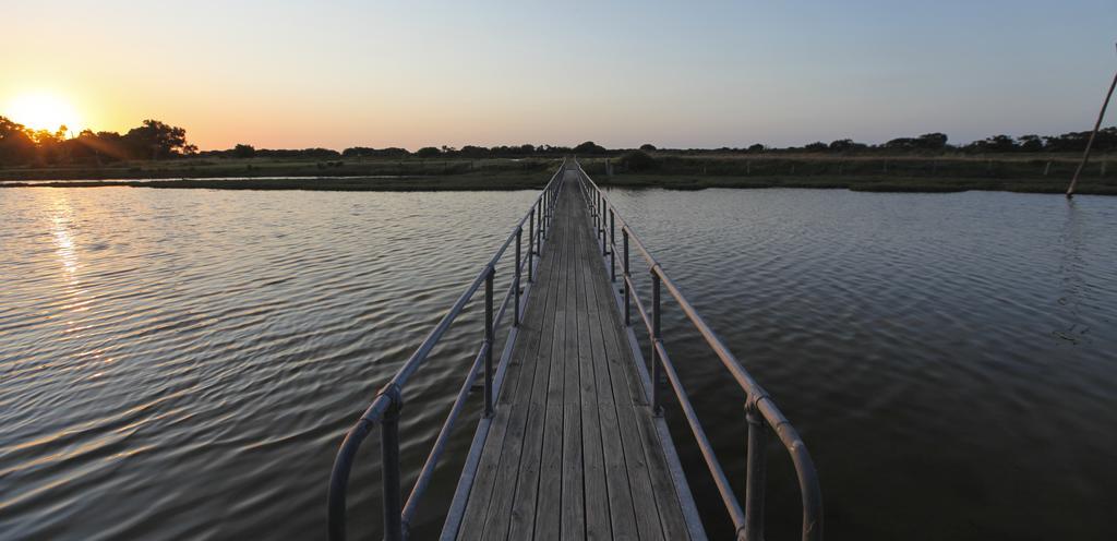 בסלטון Martin Fields Beach Retreat מראה חיצוני תמונה